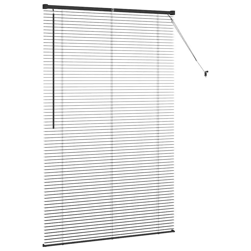 Tendaggi a Veneziana | Tenda a lamelle Nero 175 x 110 cm Alluminio