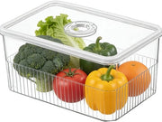 Contenitore di magazzino per scorte alimentari con coperchio chiuso - Scatola di archiviazione - Organizzatore del frigorifero - Plastica - Grande capacità - 24,5 x 16,2 x 11,5 cm