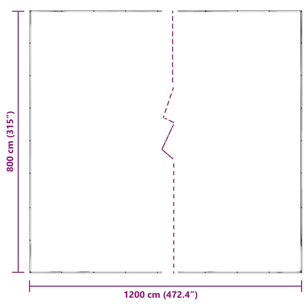 Copertura per Piante Trasparente 8 x 12 m PE 3429294
