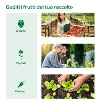 Serra a Tunnel 3x2x2m con Porta Avvolgibile e Finestre a Rete in Acciaio e Plastica, Trasparente