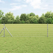 Recinzione con Posto Argento 0,6 x 50 m Acciaio e PVC