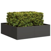 Fioriera-Vaso da Esterno-Contenitore per Piante Nera 100x100x30 cm in Acciaio