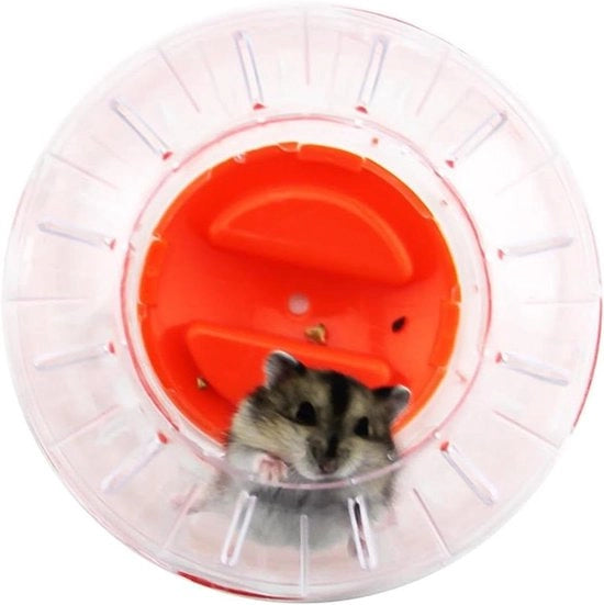 Attrezzo di gioco per hamster per attività motorie, pallone di allenamento per piccoli roditori
