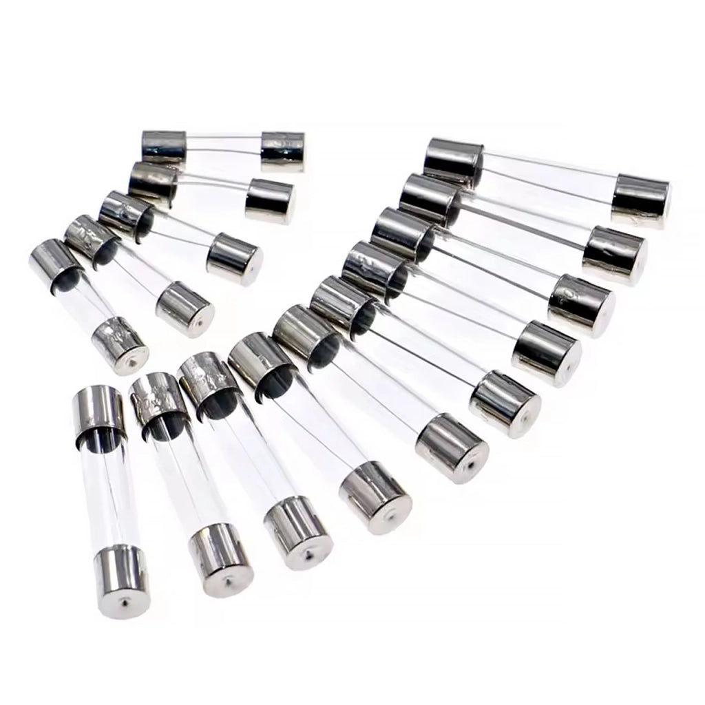 Set di Fusibili in Vetro WTA FuseBox Pro 250 – 250 Pezzi | 250V | 1A-20A | 5x20 mm + 6x30 mm | Rapida Reazione