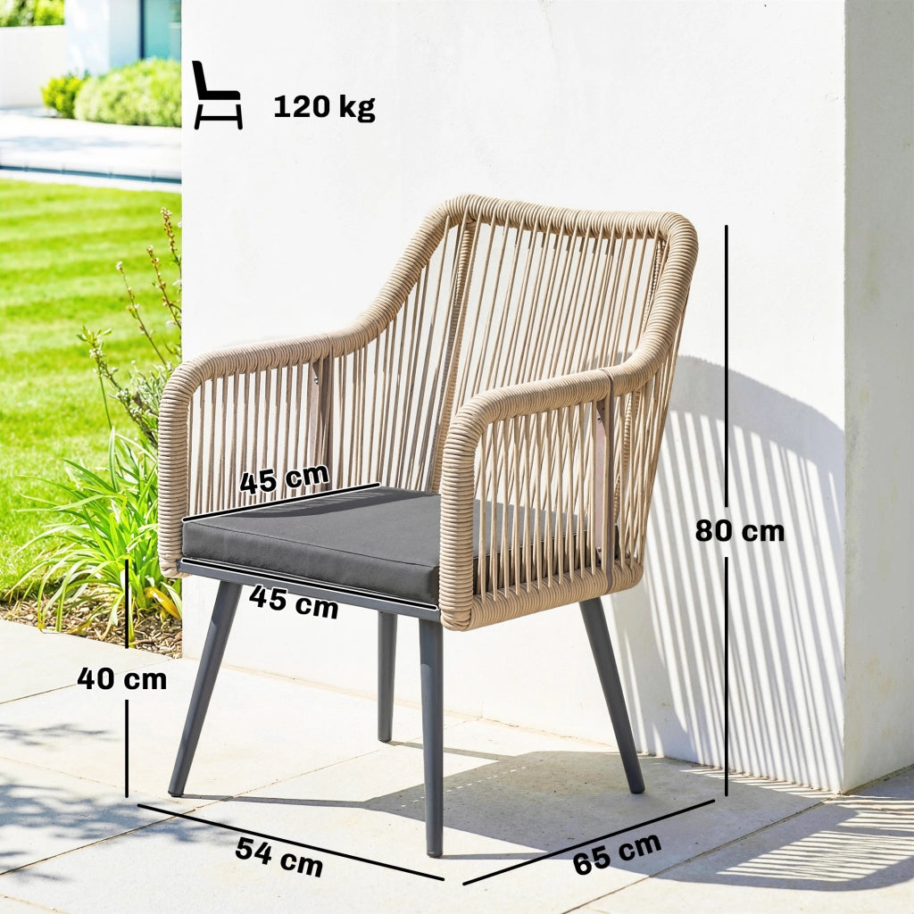 Sedia da Giardino con Cuscini e Braccioli ¨C zephmum ¨C Acciaio e Rattan PE, Grigio Scuro, 54x65x80 cm