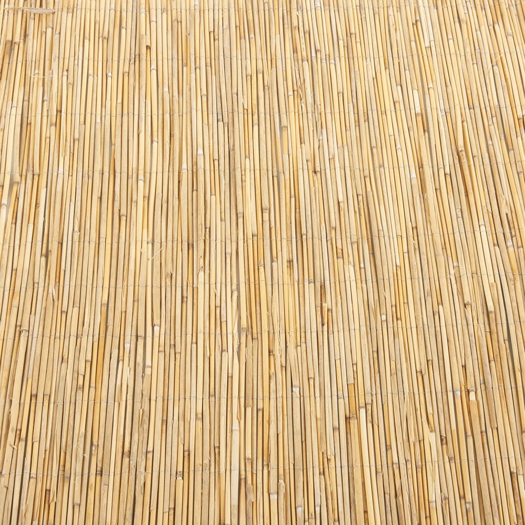 Recinzione Frangivista Abbateggio in Canna Naturale 90 x 600 cm casa.pro