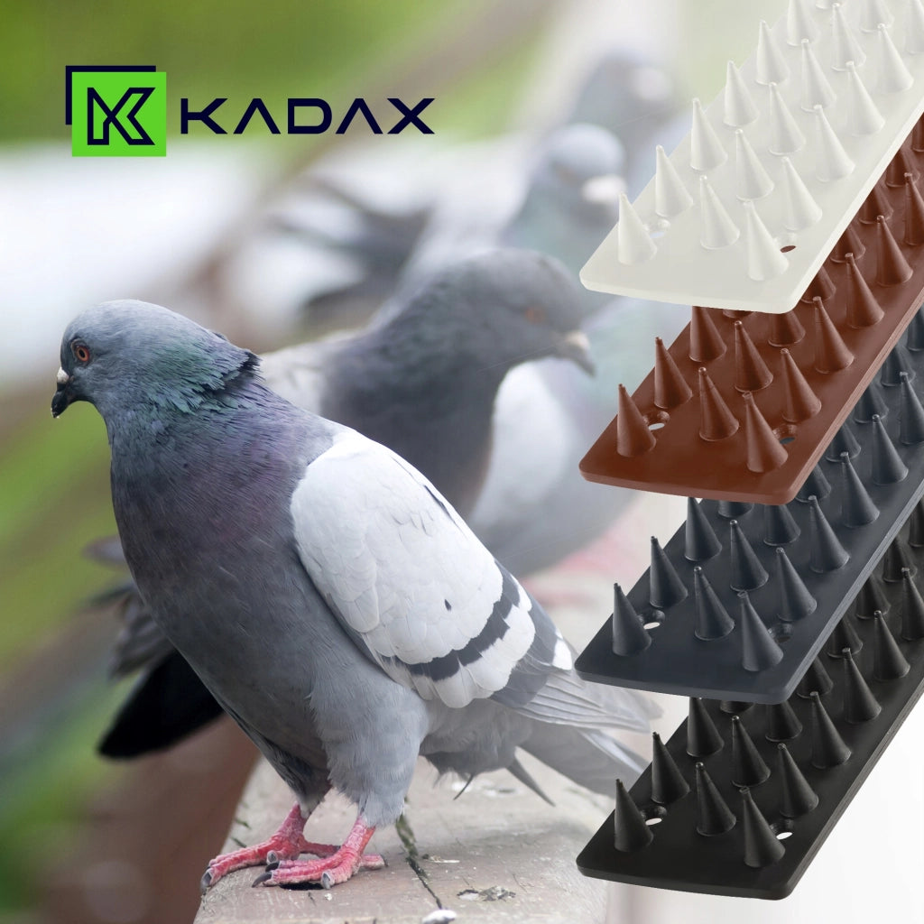 KADAX Punte anti-uccelli in acciaio inossidabile e plastica, alte 50 cm, sicure.