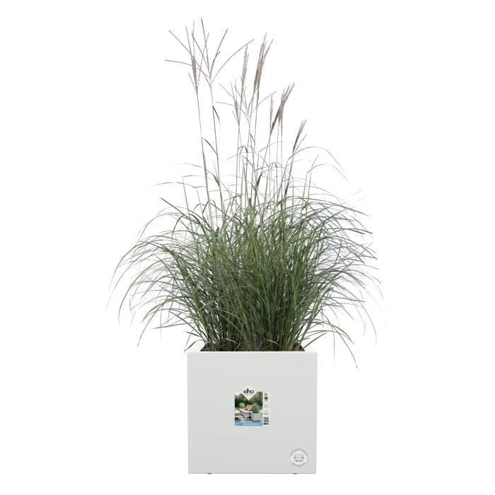 Fioriera Elho Vivo Next Square 40 - Bianco -  39 x H 38 cm - da interno/esterno - 100% riciclato