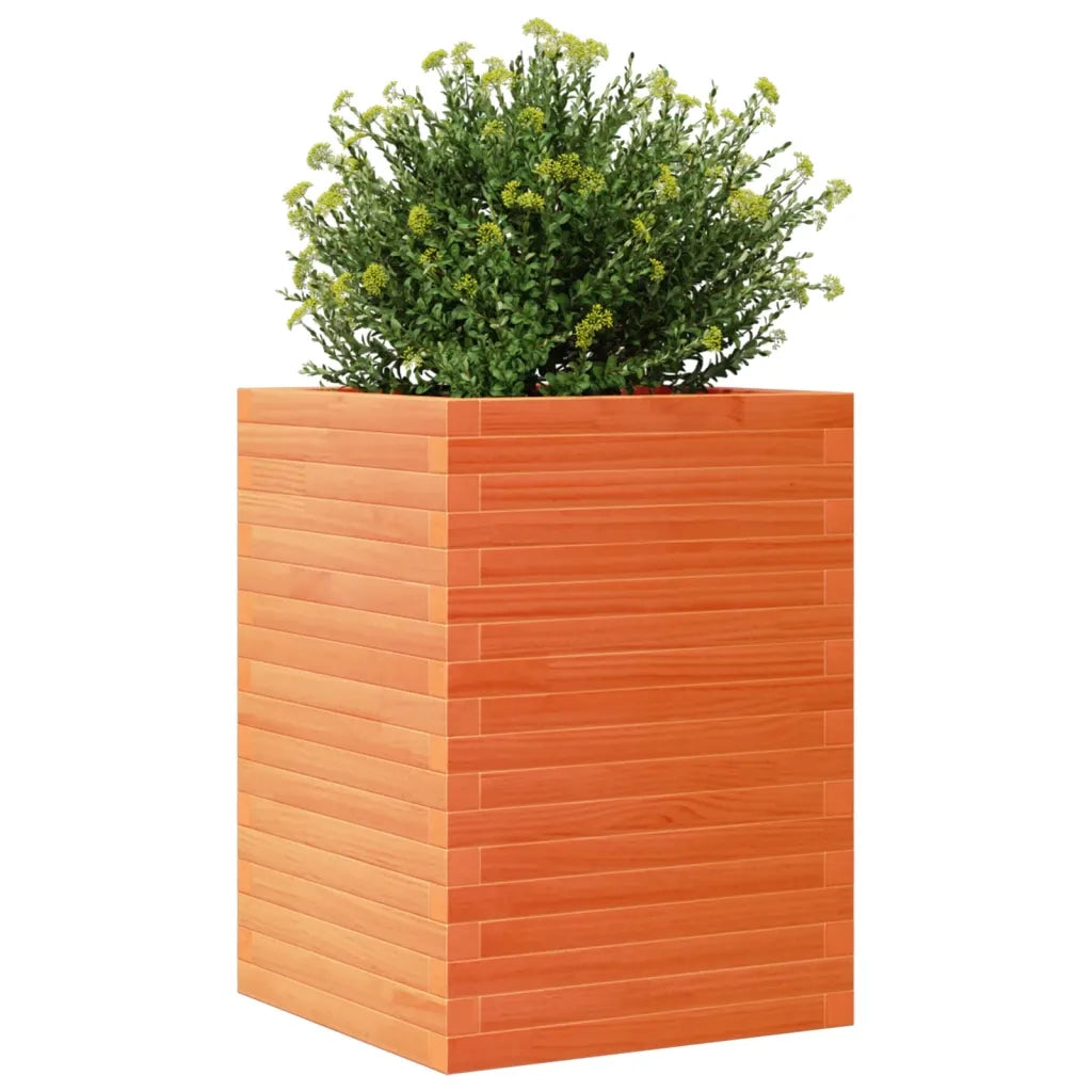 Fioriera Giardino Marrone Cera 50x50x68,5cm Legno Massello Pino 3282466