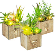 Set di 3 piante artificiali con LED in scatola di legno, piante in plastica, piante in vetro come vere piante in vaso, piante decorative per soggiorno, bagno, finestra e arredamento interno