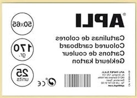 Carta Cardstock - 50 x 65 cm - 170 g - 25 fogli - Carta - Scrapbooking