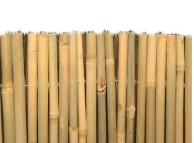 ARELLA MASTER BAMBOO CANNICCIO ARELLE CANNE RECINZIONE OMBRA BAMBU MISURE VARIE