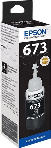 Epson T6731 Originale
