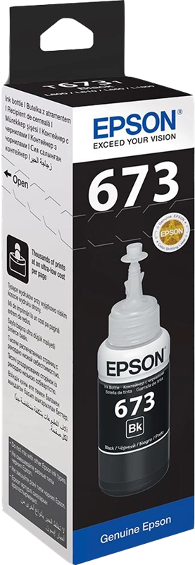 Epson T6731 Originale