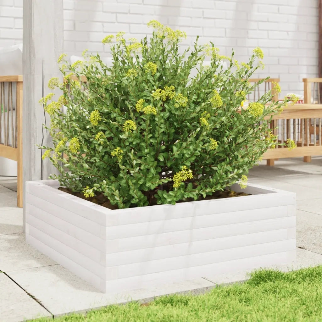 Fioriera | Cassetta per fiori | Vaso da Giardino Bianca 70x70x23 cm Legno Massello di Pino