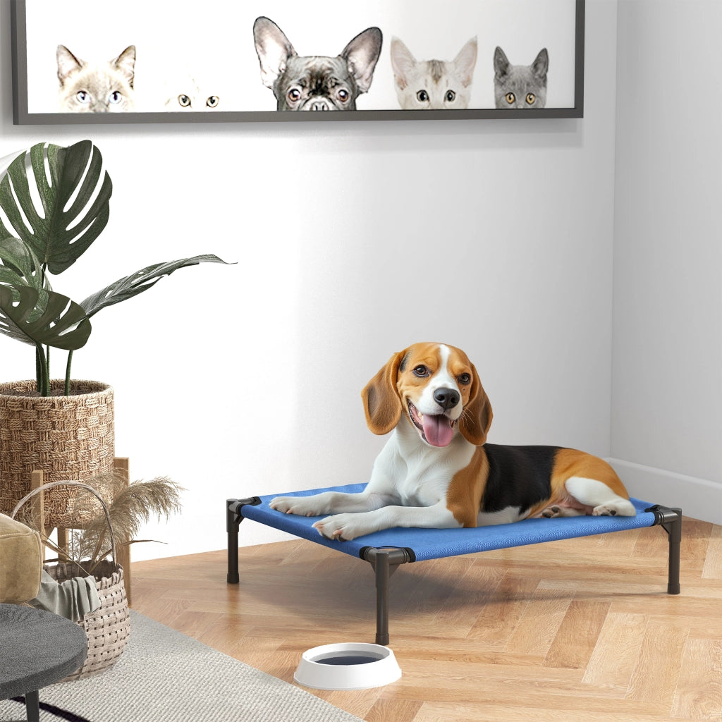 Cuccia per Cani Rialzata Pieghevole Interno Esterno ¨C Zephmum ¨C Metallo Tessuto Oxford Blu 76x61x18 cm