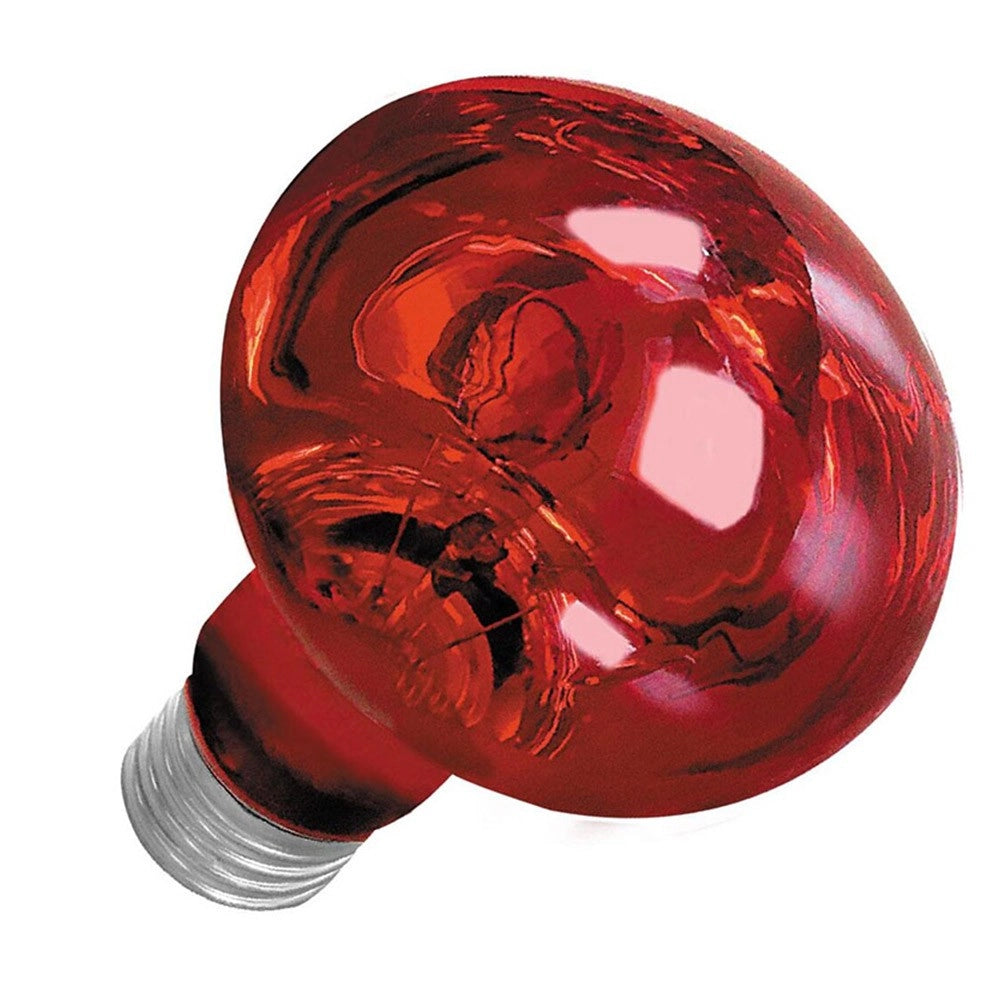 AQL Terra NightHeat Lamp Attacco E27 - Lampada riscaldante notturna per terrari Wattaggio Riscaldatori e lampade terrario: 100W