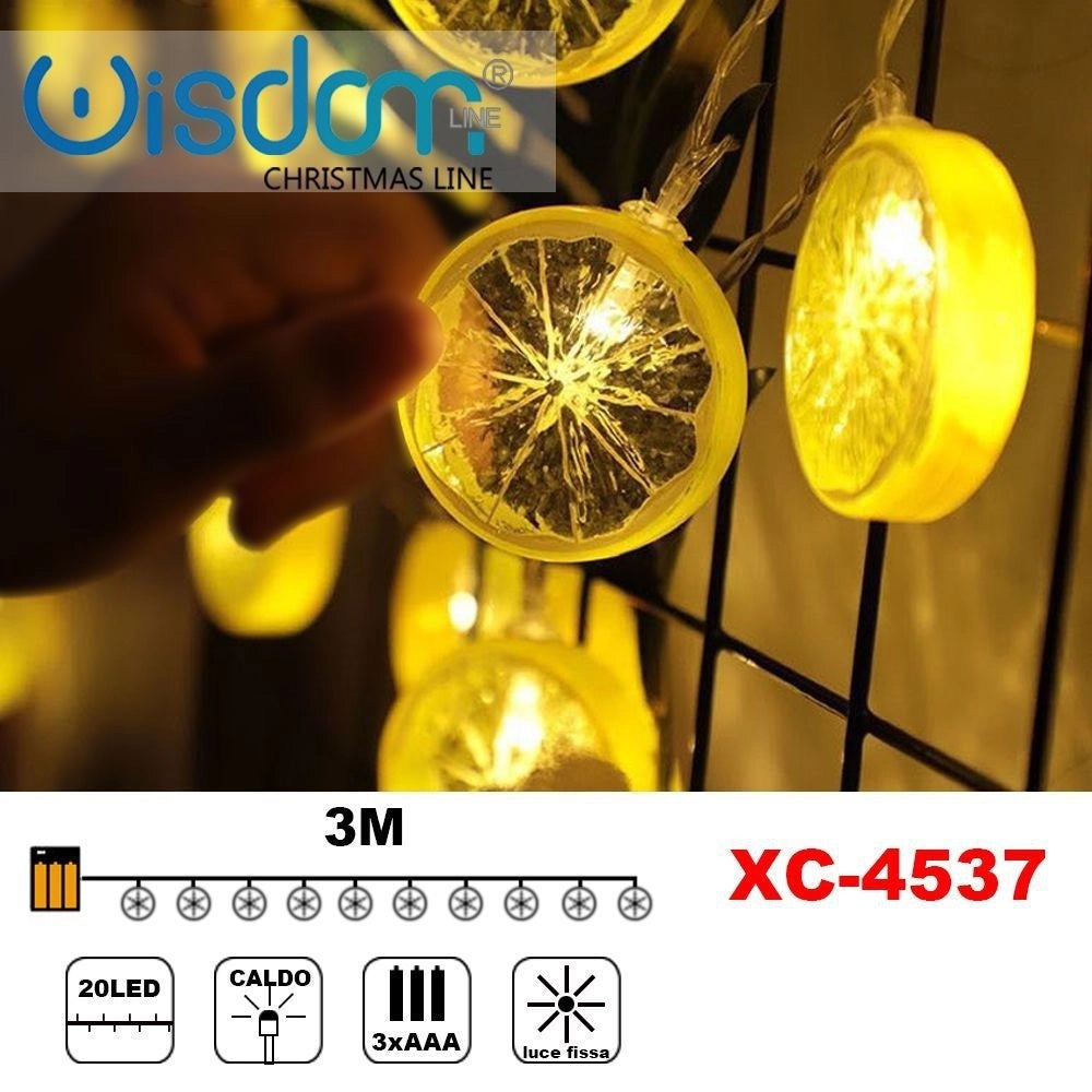 Trade Shop - Catena Luminosa Fette Agrume 20led Batteria Luce Calda Fissa Decorazioni Xc-4537 -