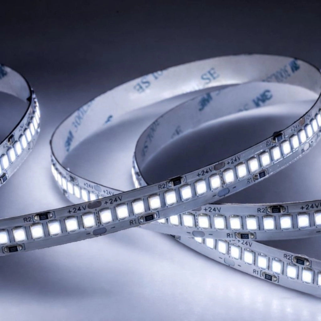 Striscia LED SMD 2835 24V, 5 Metri, Larga 10mm, Freddo 6500K, Super Luminoso 24W/M 4000LM/M 160LM/W 240SMD/M, Dimmerabile PWM, Tagliabile ogni 33mm, IP20, CRI>80