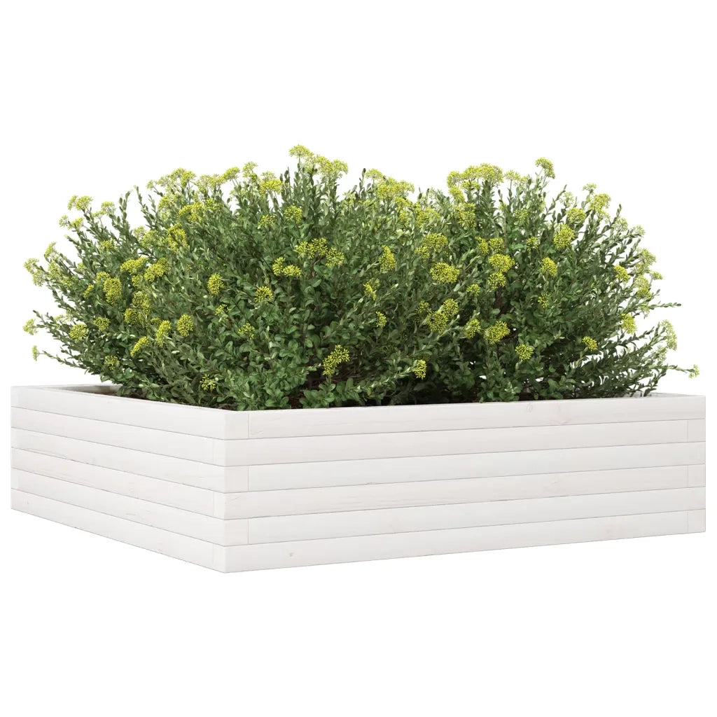 Fioriera da Giardino Bianca 90x90x23 cm Legno Massello di Pino 847204