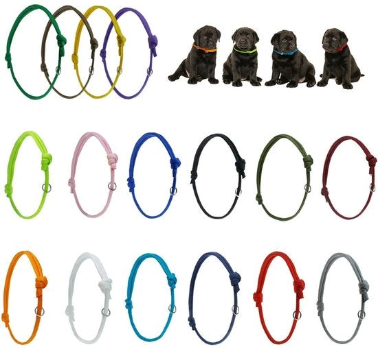 Collare per Cane - 16 pezzi - Cinture per Collare - Multicolore - Etichette di Identificazione - Polyester - Accessorio di Moda - Collare