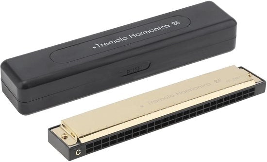 Mondharmonica a Tremolo 24 Fori - Professionale Mondharmonica Diatonica - Adatta per Bambini/Adulti - Inox - Cassetta d'Oro - Harmonica