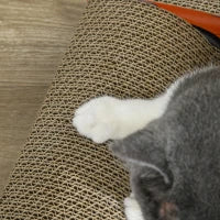 Cuccia per Gatti Tiragraffi a forma di Auto con Trattamento ad Erba Gatta, in Cartone Ondulato, 50x30x12.5 cm, Rosso