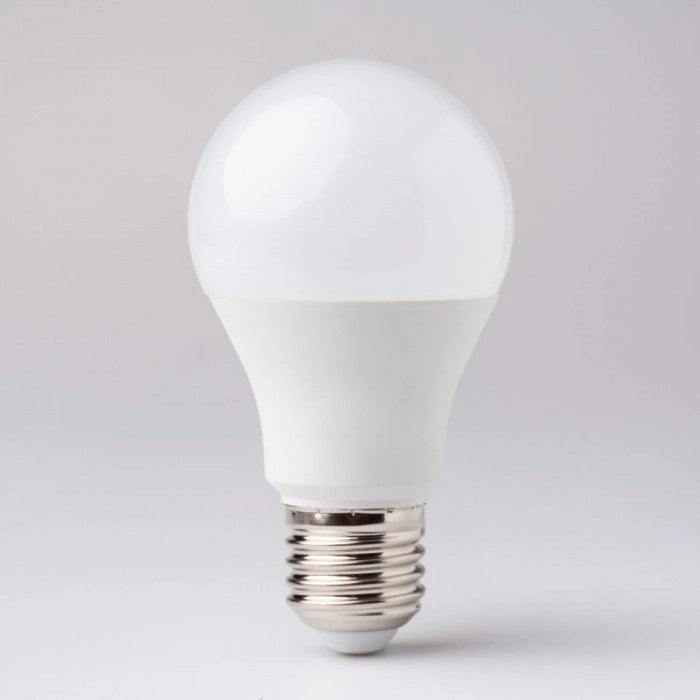Lampadina LED sferica E27 10W 900lm 6500K Ecolight