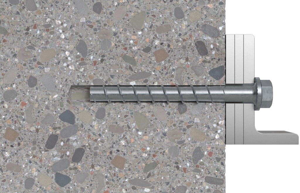 Fischer 536855 giravite e bullone 100 mm 50 pz Vite