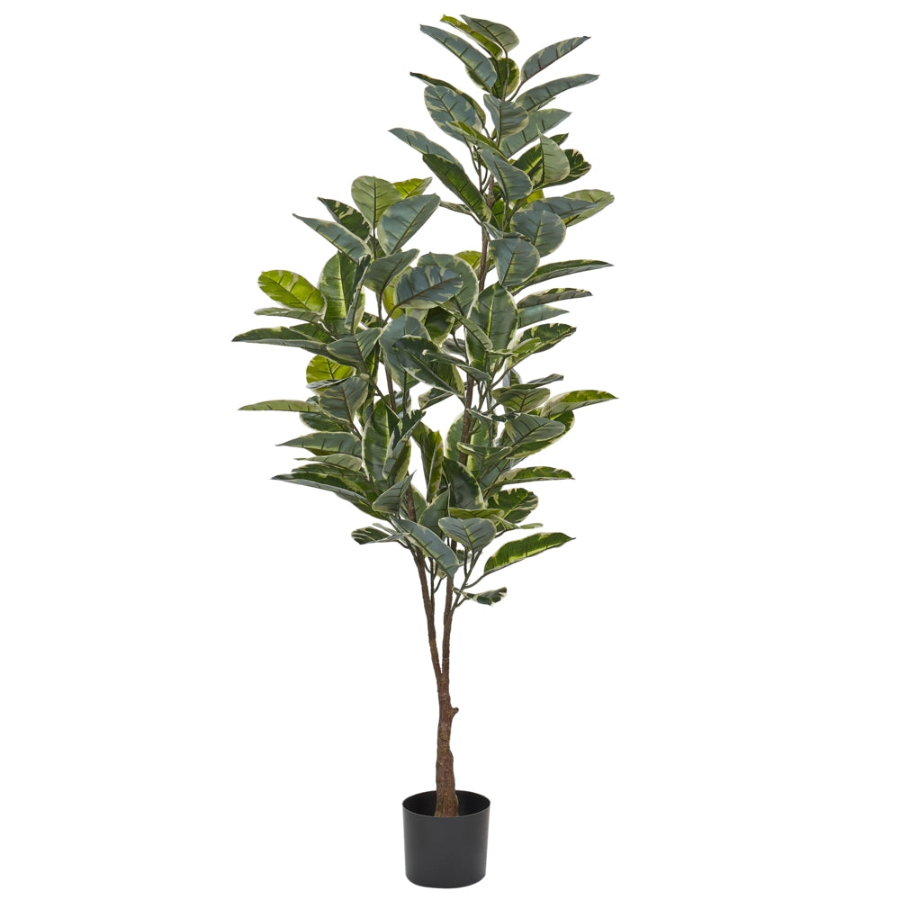 Pianta a artificiale ficus in vaso verde e Nero sintetico 160 cm Materiale accessorio decorativo per interni
