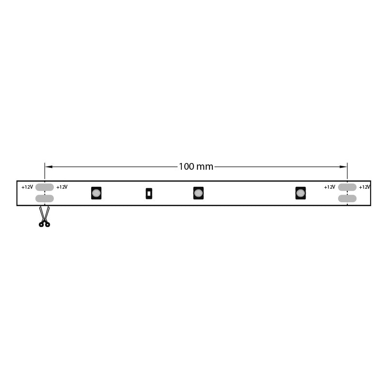 KIT NASTRO 150 LED 500CM 12V 4000K ALIMENTATO
