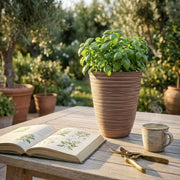VASO PICCOLO ANEMONE