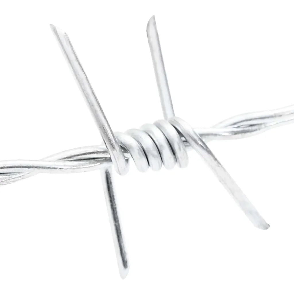 Fil di Ferro Spinato Argento 50 m Acciaio Zincato a Caldo 42010304