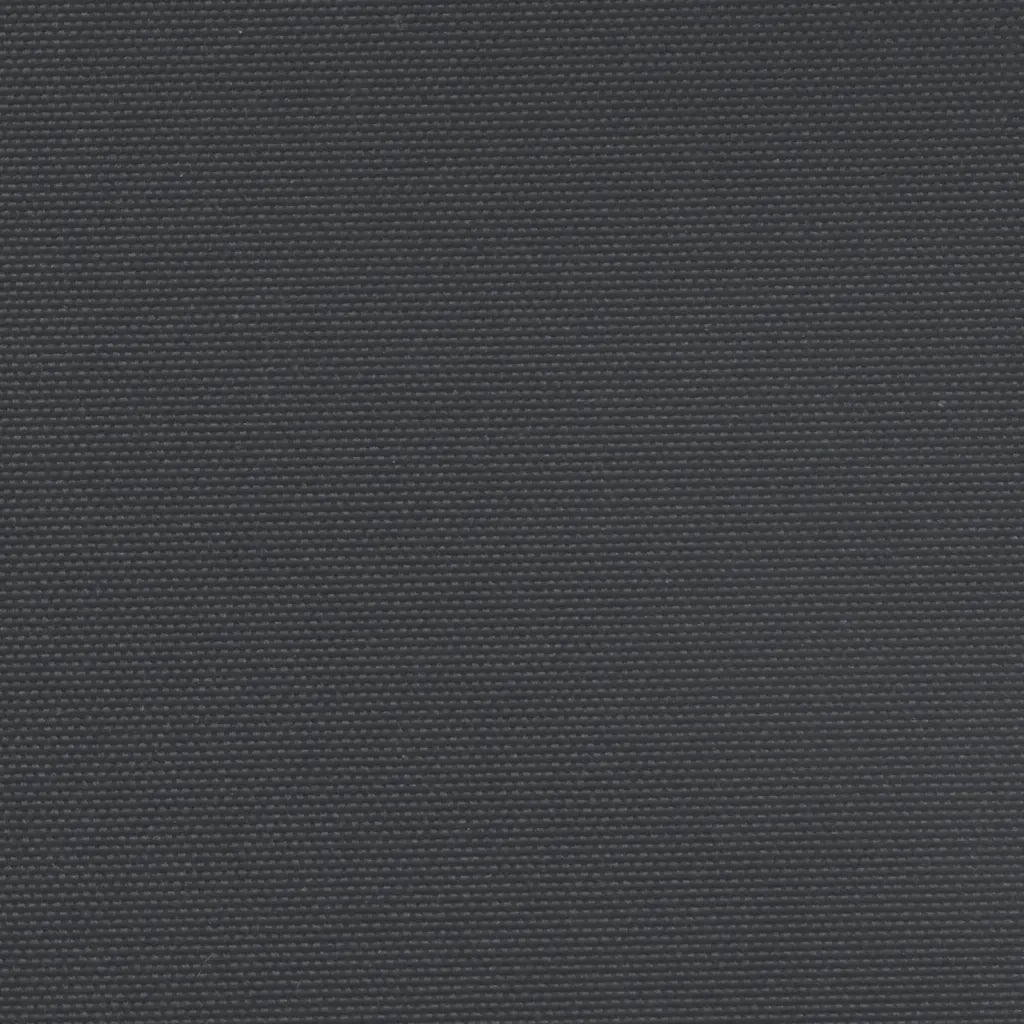 Tenda da Sole Laterale Retrattile Nera 200x1000 cm 4004759