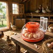 Fully Automatic 12-egg Incubator With Egg Turner, Temperature And Humidity Control, For Hatching Chicks, Ducks, Geese, And Quail.