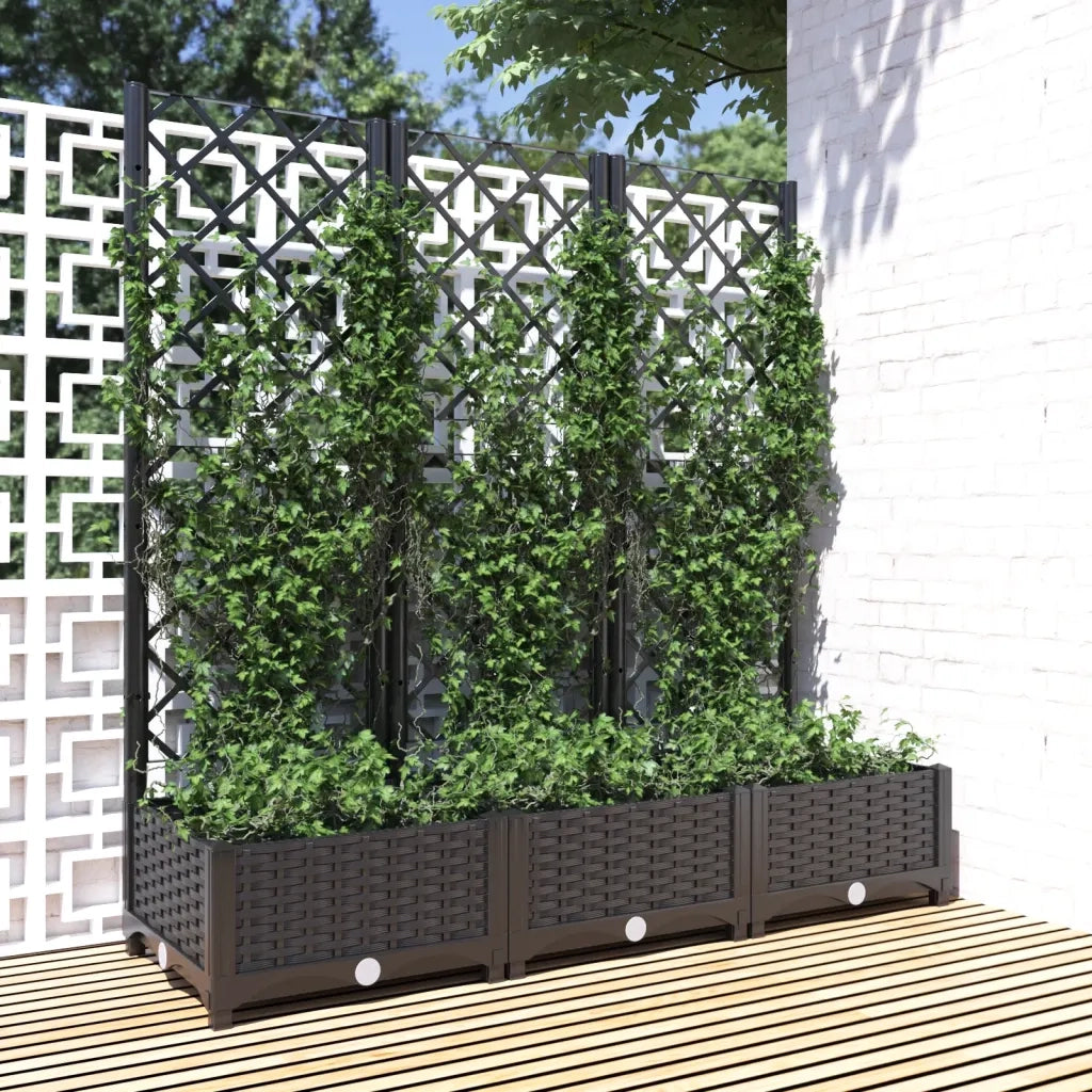Fioriera | Cassetta per fiori | Vaso da giardino con traliccio nera 120x40x121,5 cm PP