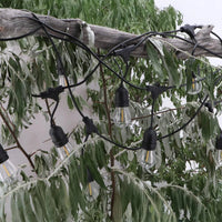 Ledme ghirlanda led solare 3w 10 lampadine e27 per esterno ip65 3000k calda