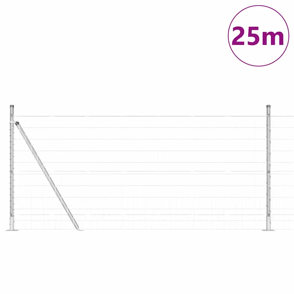 Recinzione con Posto Argento 1 x 25 m Acciaio