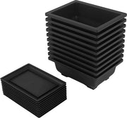 Pacchetto di allenamento per bonsai - Vaso per bonsai in plastica - Per giardino, soggiorno, balcone - 165 x 12 cm