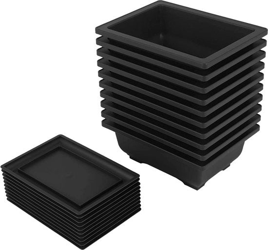 Pacchetto di allenamento per bonsai - Vaso per bonsai in plastica - Per giardino, soggiorno, balcone - 165 x 12 cm