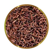 SHG Chironomus - larve di zanzara liofilizzate Formato: 15 gr