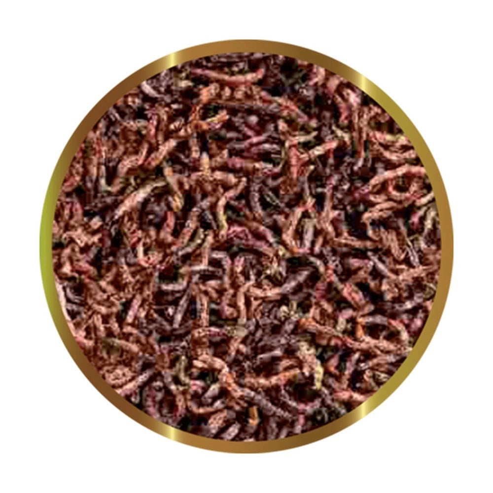 SHG Chironomus - larve di zanzara liofilizzate Formato: 15 gr