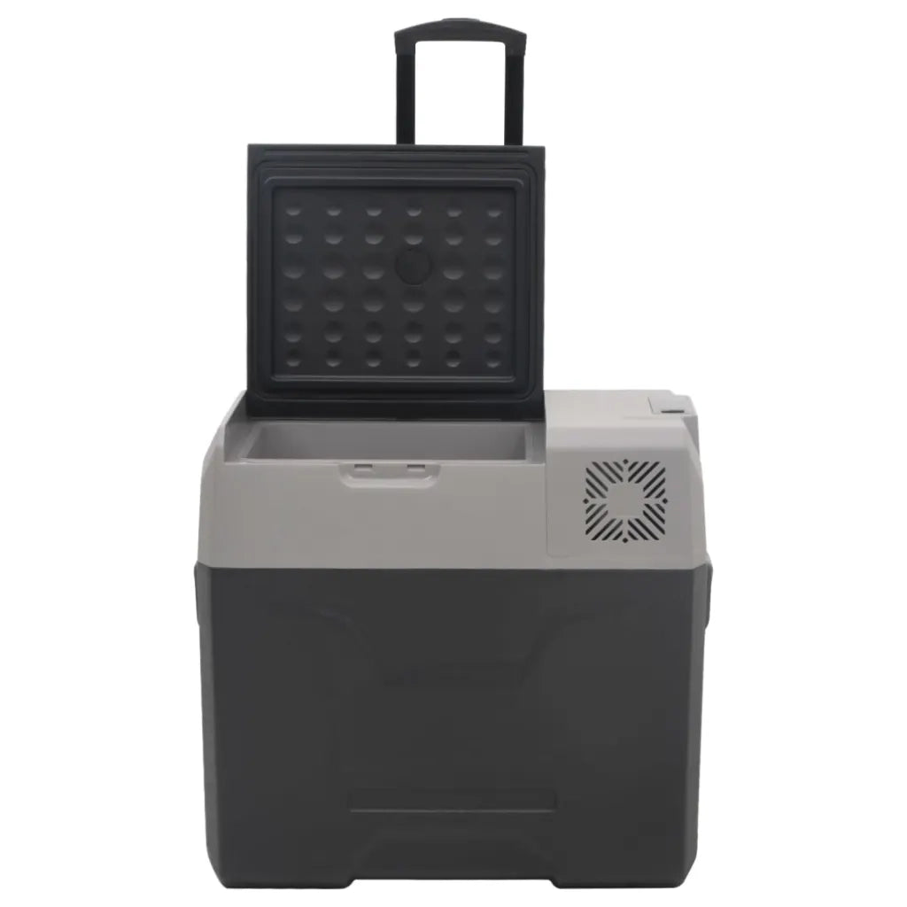 Borsa Frigo con Ruote Adattatore Nera Grigia 30 L Polipropilene 3154635