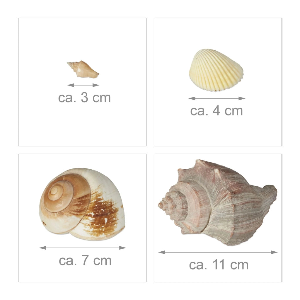 Miscela di conchiglie decorative naturale bagno da 3 a 11 cm in plastica beige 13_0004473