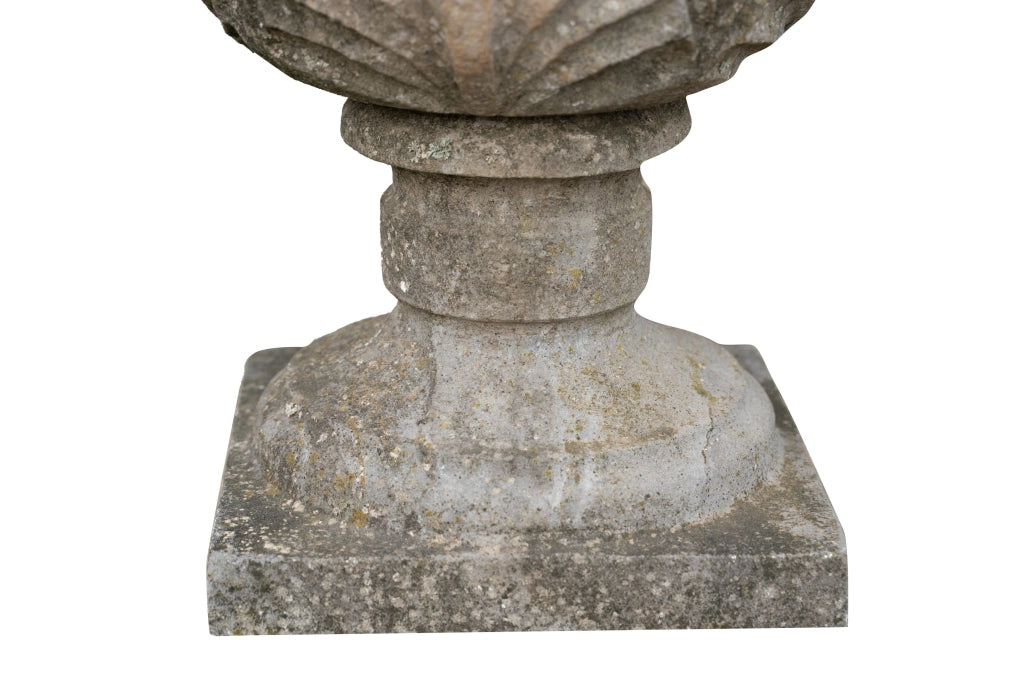 Biscottini Pigna in pietra Molto solida robusta Statua 25X50 cm Qualità Garantita Nuovo