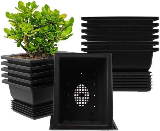 Piantine di allenamento per bonsai - Piantine di plastica - Durevoli e resistenti - Nero - Per uso interno ed esterno - Adatti per giardino e ufficio