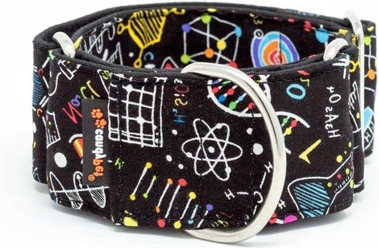 Collare per Cane Martingale - Addestramento - Regolabile - Riflettente
