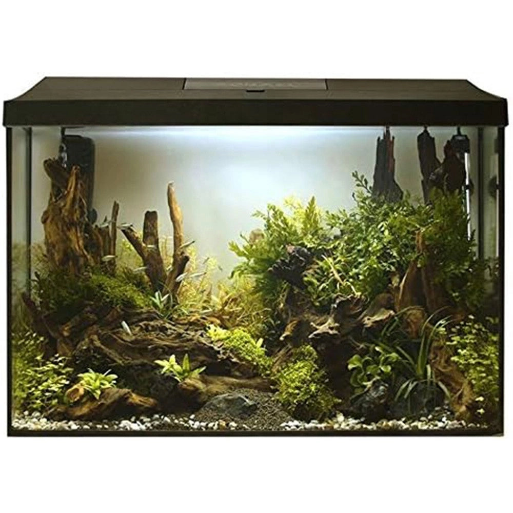 Aquael Aquarium Set Leddy 40XL Day&Night Nero - acquario cm41X25X35h completamente accessoriato