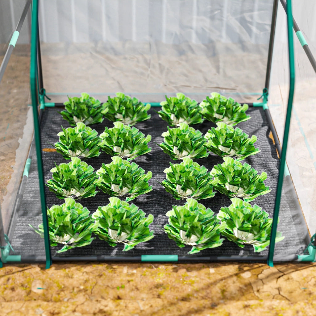 Serra da Giardino con Porta e Base Impermeabile ¨C Xylo ¨C Telaio Acciaio 90x90x105 cm Trasparente