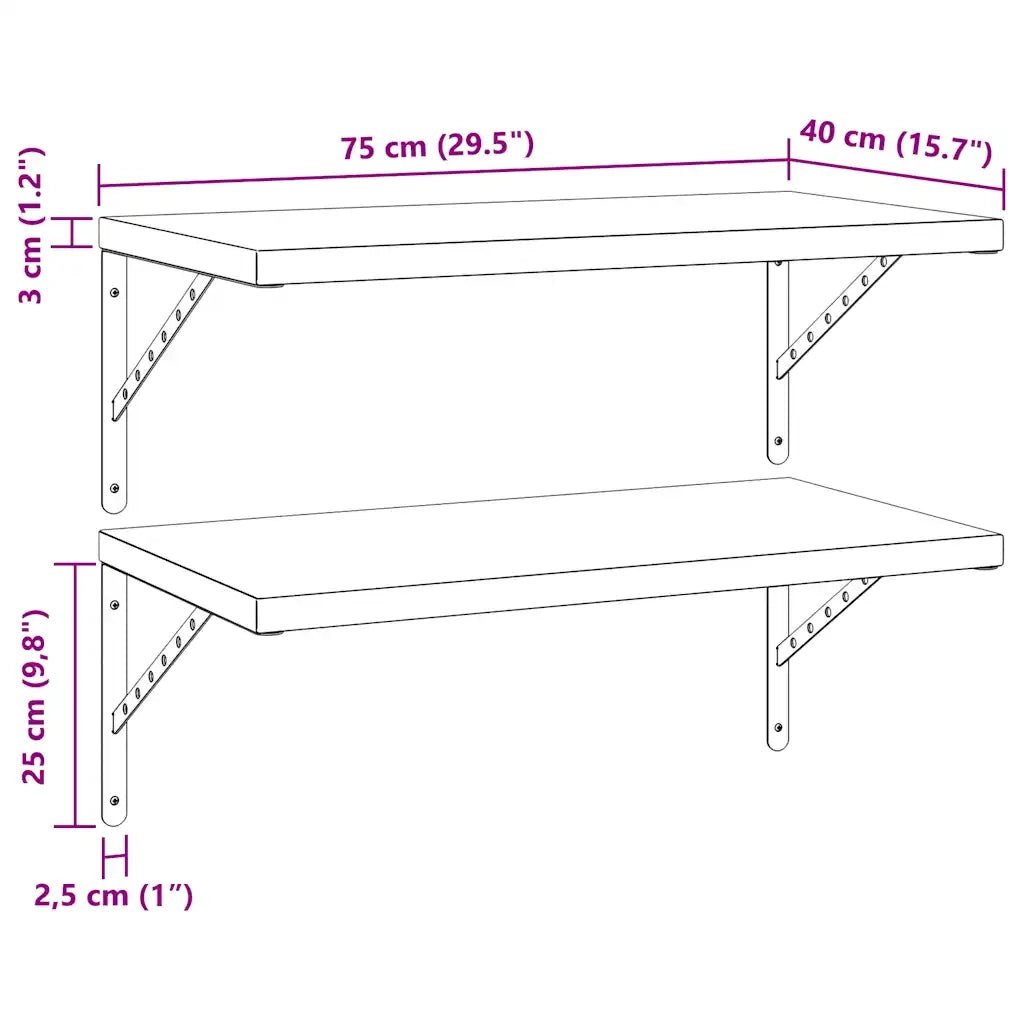 Mensole a Muro 2 pz 75x40 cm Argento in Acciaio Inossidabile